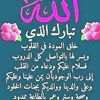 shadyahmed8677