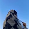 hawaaibrahim1