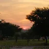 silviabarbero35
