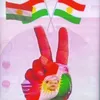 baschir196