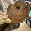 sloth.com