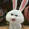 sasasa_ririri