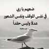 fatma99639