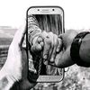 traveler_358882