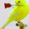phngnguynphngnguy4