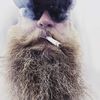 kingkermsaholic