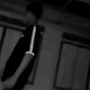 fer_seluu