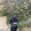 مـلَاكِ،