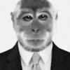 dhoskiy_562