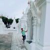 thidartheint528