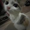 youloveikram