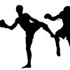 boxintcb5i2