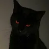 666meggie