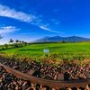 rinapurwanti103