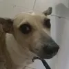 cloud_ruvsc