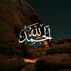 habib_zr1