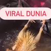 viraldunia7