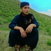 nooragha790