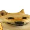 diggo2023_furia