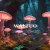 waltuo7