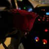 dhdty2526