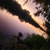 pamelapriore6