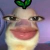 ssjdannax