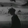 _bl.z