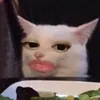 __nmc_
