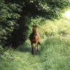 aimee_eq2