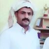 sham711n711