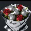 _rosa.zambrano_