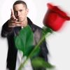 abody_osama