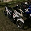 alippp_87