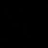 nizamansorii