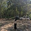 monkey_thecamp