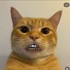 badingris