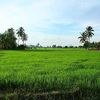 jejak.pusaka