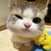 nayyyy_626