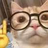 ummcutesy