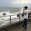 nguyenvu_8805