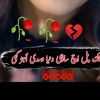 arzu7352