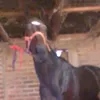 beto.navarrete03