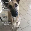 cbnghdygggkllhykcdridvln