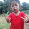 korakit.chitvong