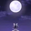 kocho_nya