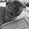 mhd_.izzu