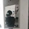 amel_1341