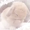 m_atilda3