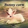 bunniesaremyyfav